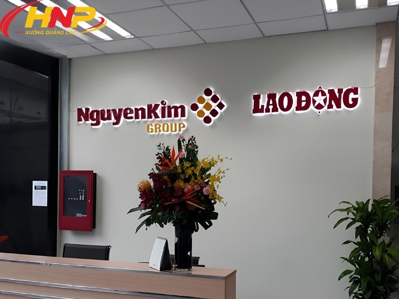  backdrop công ty bảo hành